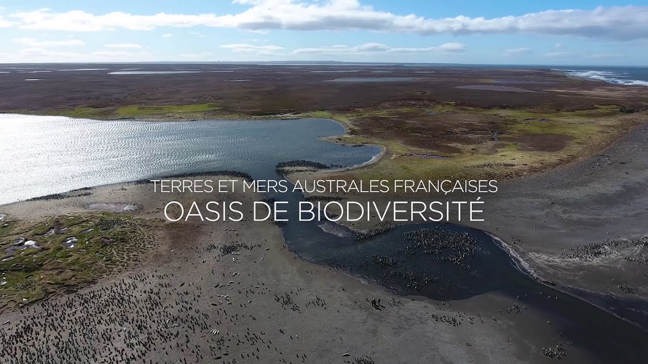 Terres et mers australes françaises - Le film