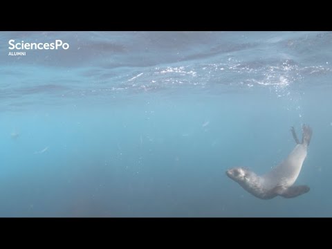 Les îles Kerguelen de François Garde