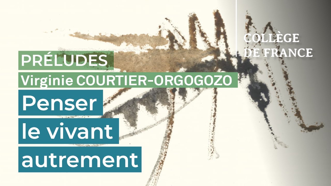 Penser le vivant autrement - Virginie Courtier-Orgogozo