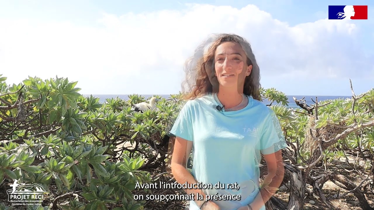 Opération de restauration des écosystèmes de l'île Tromelin