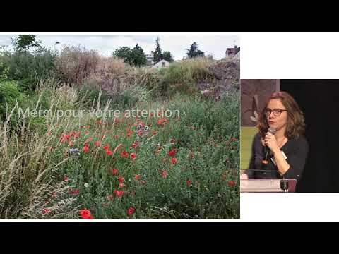 La biodiversité urbaine et la trame verte et bleue en ville. Audrey Muratet, ARB ÎdF