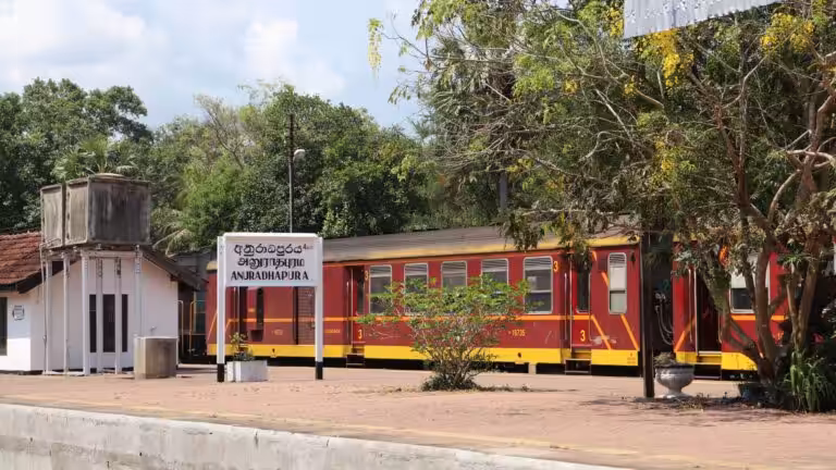 Découvrir anuradhapura town : histoire, culture et sites incontournables