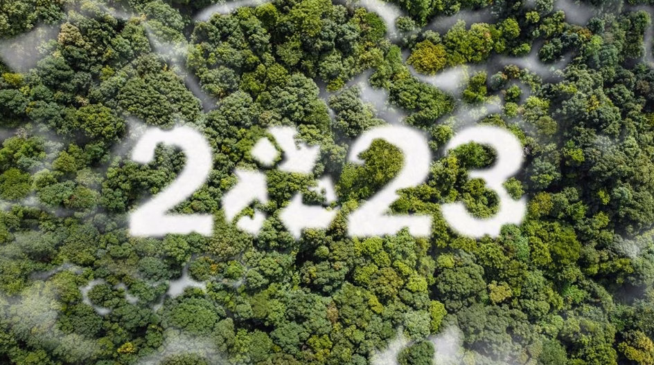 Journées du Patrimoine 2026 : plongez au cœur du Conservatoire National des Plantes à Milly-la-Forêt